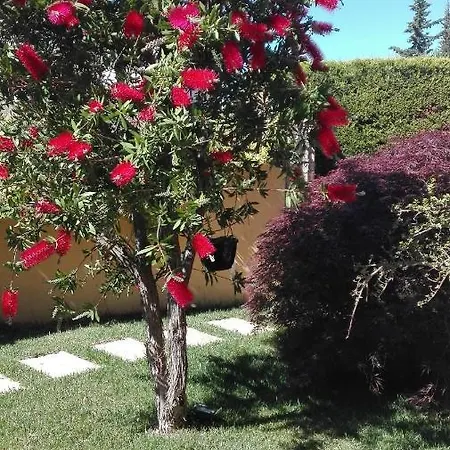 Bed & Breakfast Degli Ulivi 3*