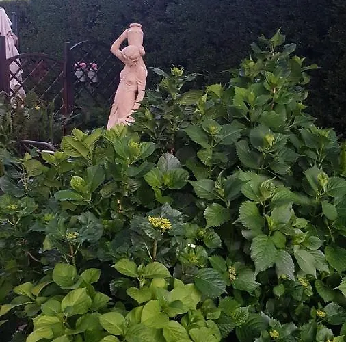 住宿加早餐酒店 Degli Ulivi 圣玛丽亚德尔西德