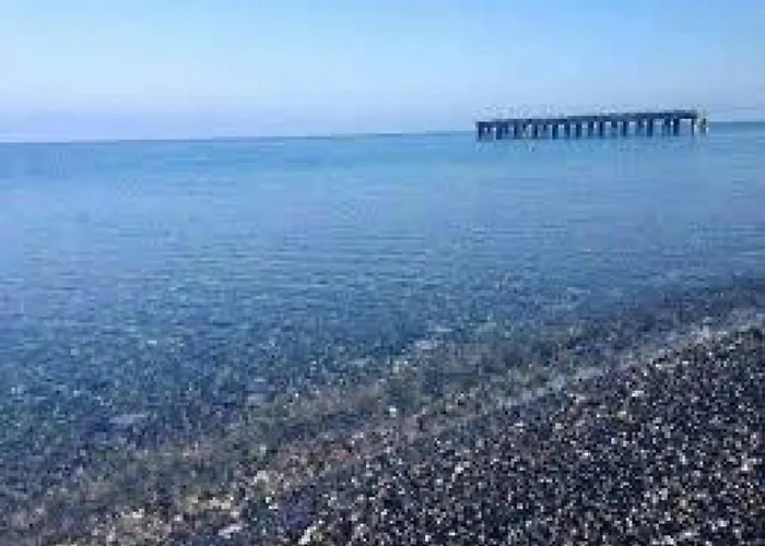 住宿加早餐酒店 Degli Ulivi