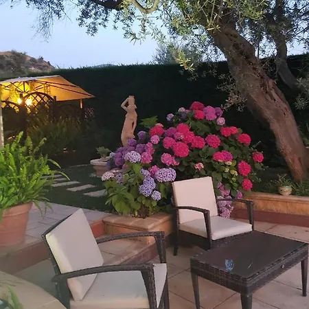 Degli Ulivi Santa Maria Del Cedro