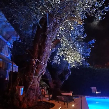 Degli Ulivi Bed & Breakfast 3*