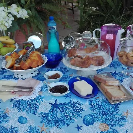 Bed & Breakfast Degli Ulivi Santa Maria Del Cedro