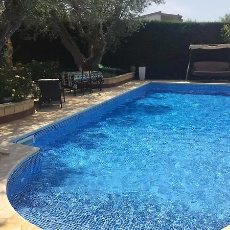 Degli Ulivi Bed & Breakfast Santa Maria Del Cedro