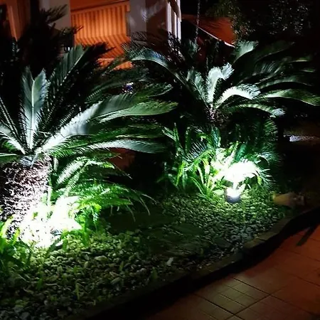 Degli Ulivi Bed & Breakfast Santa Maria Del Cedro