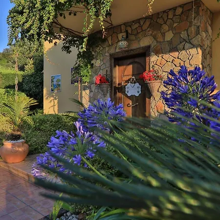 Degli Ulivi Santa Maria Del Cedro