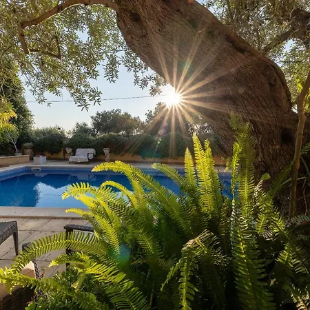 Bed & Breakfast Degli Ulivi 3*