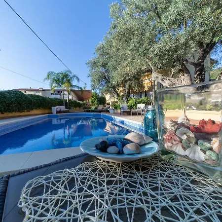 Bed & Breakfast Degli Ulivi Santa Maria Del Cedro