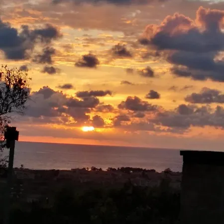 Degli Ulivi Santa Maria Del Cedro