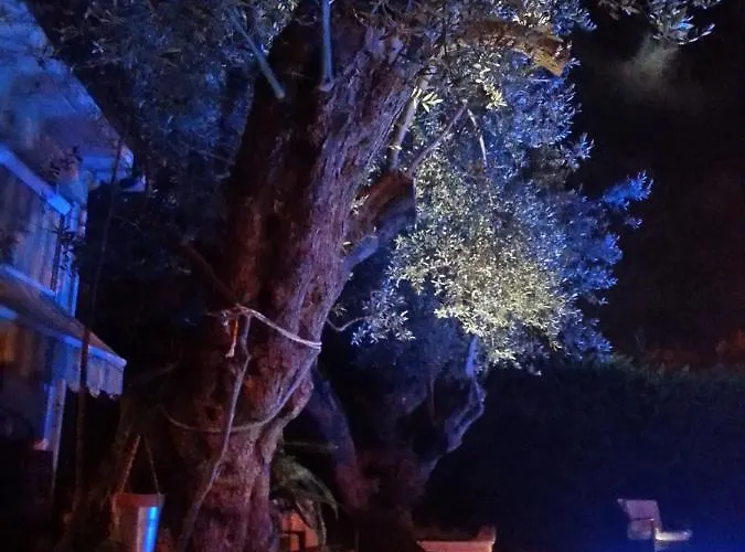 Degli Ulivi Bed & Breakfast 3*