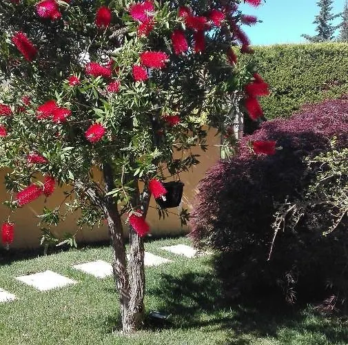 Bed & Breakfast Degli Ulivi 3*