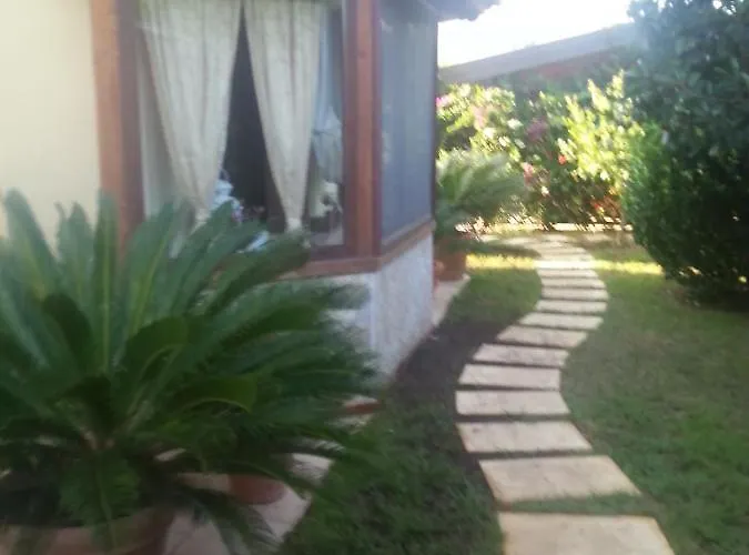 Bed & Breakfast Degli Ulivi