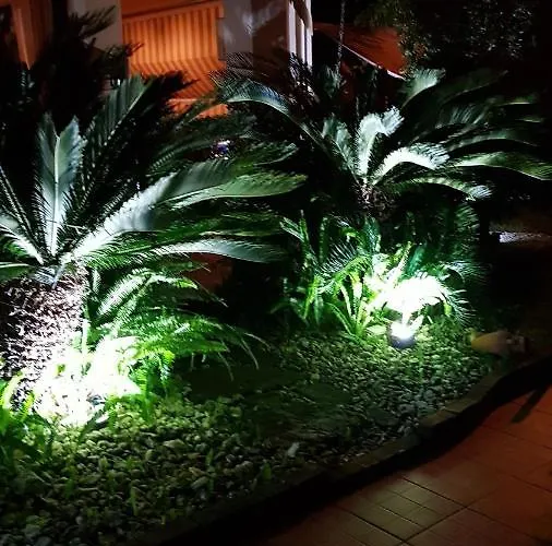 Degli Ulivi Bed & Breakfast Santa Maria Del Cedro