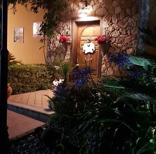 Degli Ulivi Santa Maria Del Cedro