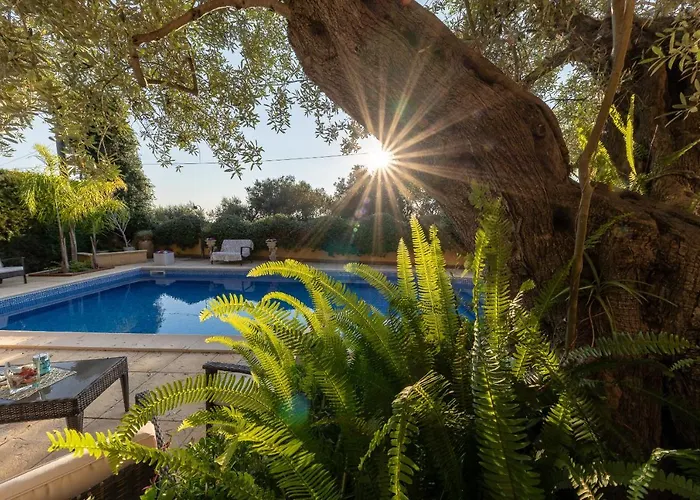 Bed & Breakfast Degli Ulivi 3*