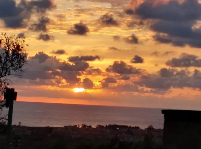 Degli Ulivi Santa Maria Del Cedro